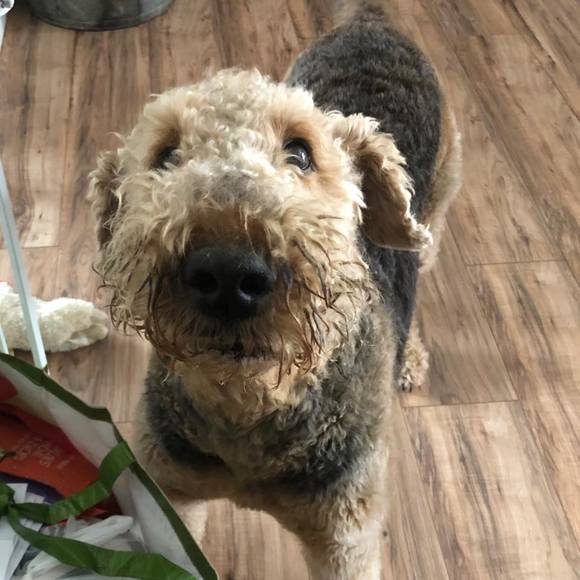 Cora Jensen - Poshmark Profile Picture of Cora Jensen (@coramj8192) on Poshmark