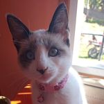 Profile Picture of Jonathan Mazziotta (@jonathanmazziotta) on Instagram