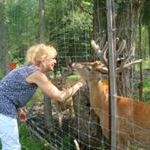 Profile Picture of Carleen DeLozier (@carleen332) on Pinterest