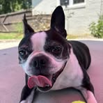 Profile Picture of Shawn Hudgins (@shawn.hudgins.2025) on Facebook