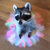 Profile Picture of Lola Pejovski (@lola-pejovski) on Quora