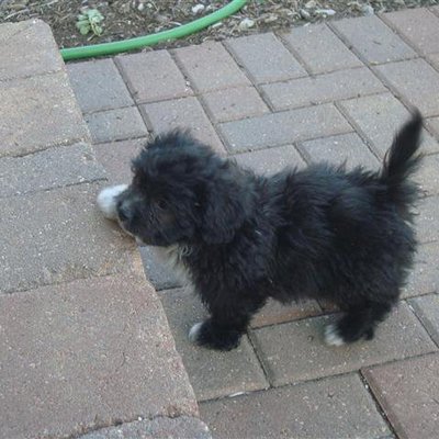 Profile Picture of Derek Meeks (@DerekAnthon1) on Twitter