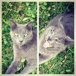 Profile Picture of Kristal Gibson (@happyblinkchik) on Instagram