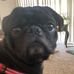 Profile Picture of Paul Tames (@paul.tames.921) on Facebook