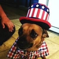 Profile Picture of Megan Waldrep (@megan-waldrep-2) on Quora