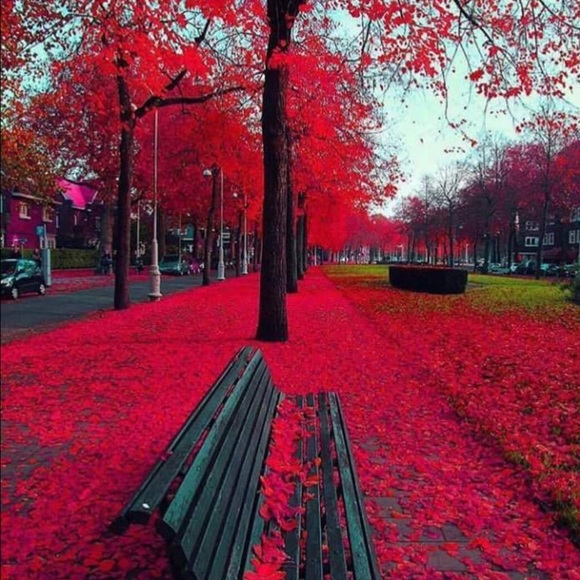 Profile Picture of Vincent Scott (@vscott1980) on Poshmark