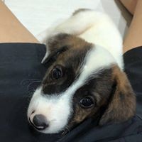 Profile Picture of Lejun Wang (@lejun-wang) on Quora