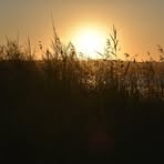 Profile Picture of Peter Henson (@Peter-Henson) on Facebook