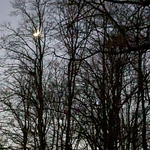 Profile Picture of A Little Bird Said (@a little bird said) on Flickr