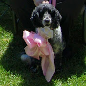 Profile Picture of Jane Reid (@janereid716) on Youtube