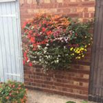 Profile Picture of Ray Brewster (@ray.brewster) on Instagram