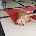 Profile Picture of Oswald Nathaniel (@oswald.nathaniel.90) on Instagram