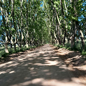 Profile Picture of Nestor Scorza (@nestorscorza4307) on Youtube