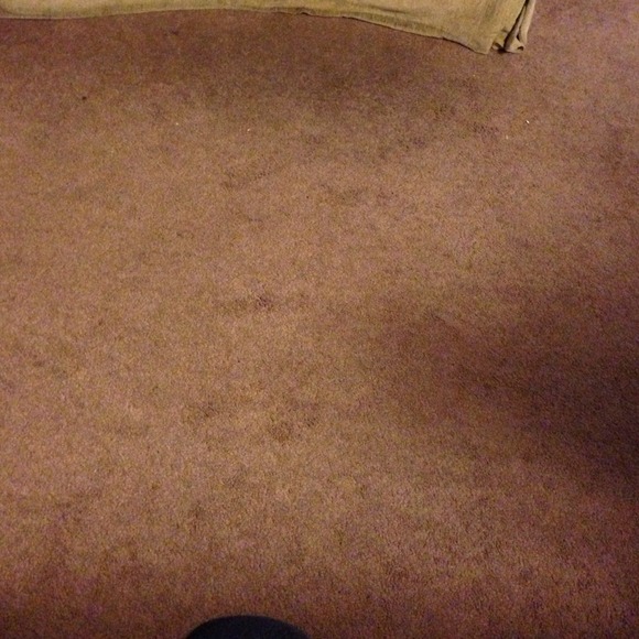 Profile Picture of Stephannie Sanchez (@sstephannie) on Poshmark