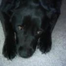 Profile Picture of Vicky Matherly (@vmatherly) on Pinterest