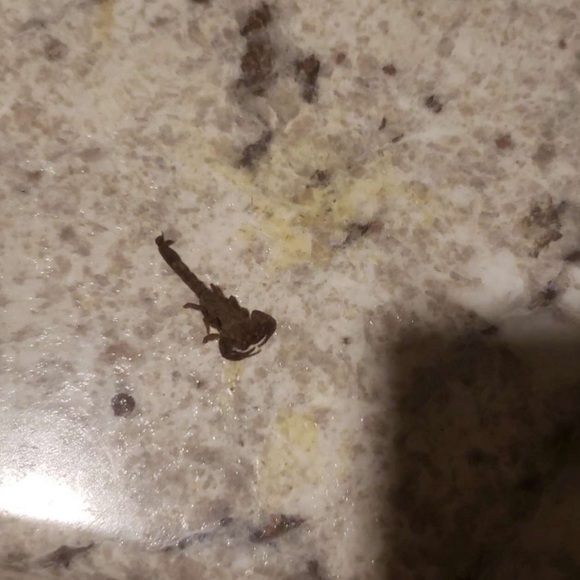 Profile Picture of Philip Hayden (@philiphayden) on Poshmark