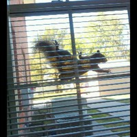 Profile Picture of Tamera Hayes (@tamera-hayes-3) on Quora