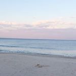 Tamara Munson - Instagram Profile Picture of Tamara Munson (@tamaramunson) on Instagram