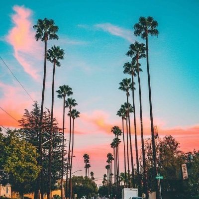 Profile Picture of Derek (@DerekPadilla_) on Twitter