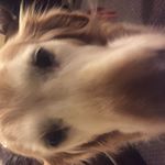 Profile Picture of BUDDY (@buddy.jordan23) on Instagram