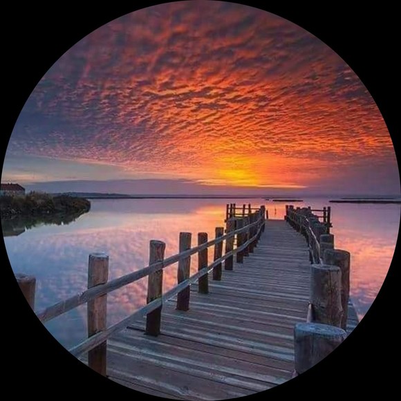 Profile Picture of Kim Keckler (@keckster) on Poshmark