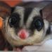 Profile Picture of Chee Yip (@chee.yip.75) on Facebook