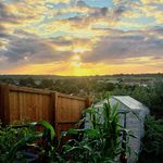 Profile Picture of Jason ryall (@plantmandude) on Instagram