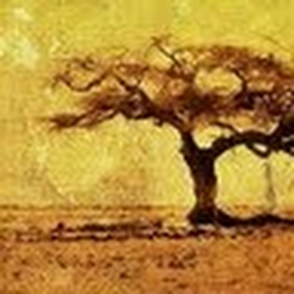 Profile Picture of Kim Ryan (@kimberyan) on Poshmark