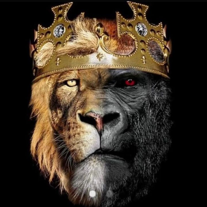 Profile Picture of Shawn Ervin (@brolic.shawn) on Tiktok