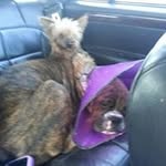 Shelly Grubb - Instagram Profile Picture of Shelly Grubb (@grubbshelly) on Instagram