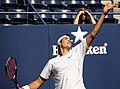 Profile Picture of Isner–Mahut match at the 2010 Wimbledon Championshipson Wikipedia