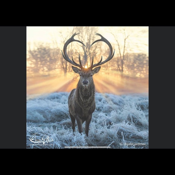 William Huang - Poshmark Profile Picture of William Huang (@williamh2021) on Poshmark