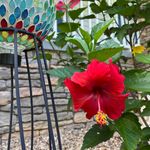 Profile Picture of Lisa Niemiec (@lisa_anne9) on Instagram