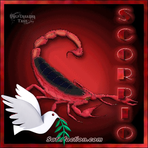 Profile Picture of Jason Pfeffer (@Jason-Pfeffer) on Facebook