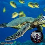 Profile Picture of Andy Workman (@andy.workman.737) on Instagram