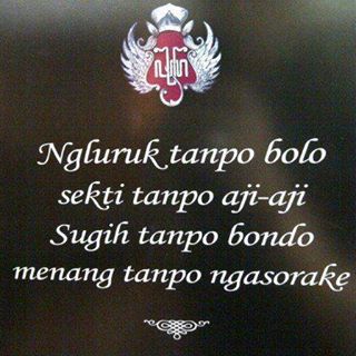 Profile Picture of Kevin Birdshop (@kevin.birdshop.1) on Facebook