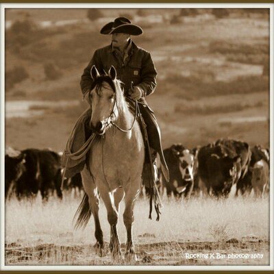 Profile Picture of Jason Springston (@Vaquerohorse) on Twitter