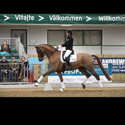 Profile Picture of Katie Bailey (@KBDressage) on Twitter