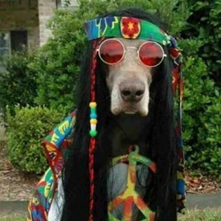 Profile Picture of Lorri Peeler (@Lorri-Peeler) on Facebook