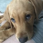 Profile Picture of Craig michael heslop (@craigmichaelheslop) on Instagram