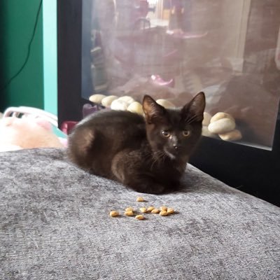 Profile Picture of Sam Mckeeman (@sammy18_09) on Twitter