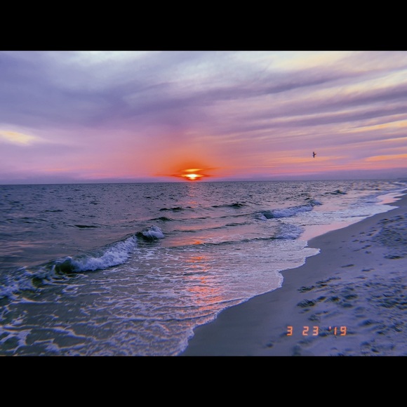 Profile Picture of Elaina Rigterink (@elaina_rigs) on Poshmark