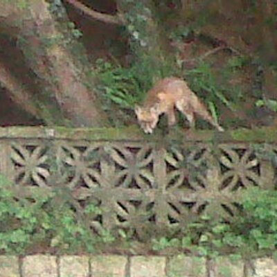 Profile Picture of George (@andy6midgets) on Twitter