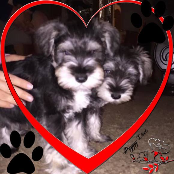 Profile Picture of Tammy Menchhofer (@tammymenchhofer) on Poshmark