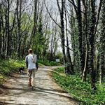 David Hockin - Instagram Profile Picture of David Hockin (@hockin84) on Instagram