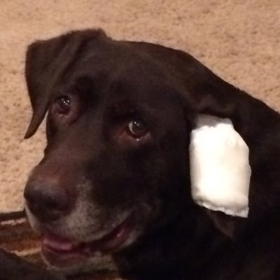 Brad Stricklin - Twitter Profile Picture of Brad Stricklin (@stricklinhomes) on Twitter