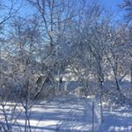 Profile Picture of Nancy Murphy (@nancy.murphy.16503) on Instagram