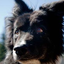 Scot Gleason - Facebook Profile Picture of Scot Gleason (@scot.gleason) on Facebook