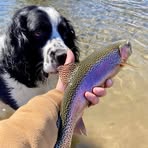 Profile Picture of Robert Chorney (@robert.chorney.12) on Facebook