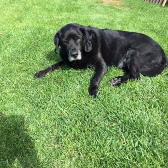 Profile Picture of Robert Baron (@rob_baron_2220) on Poshmark